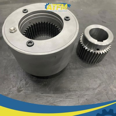 Limitador de Torque - 1